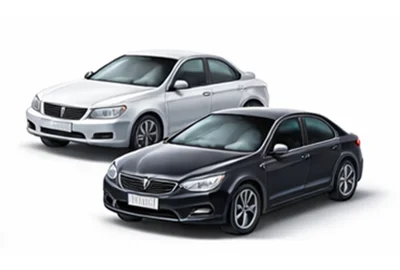 Entrega expresso Carros em Zwijnaarde Bélgica